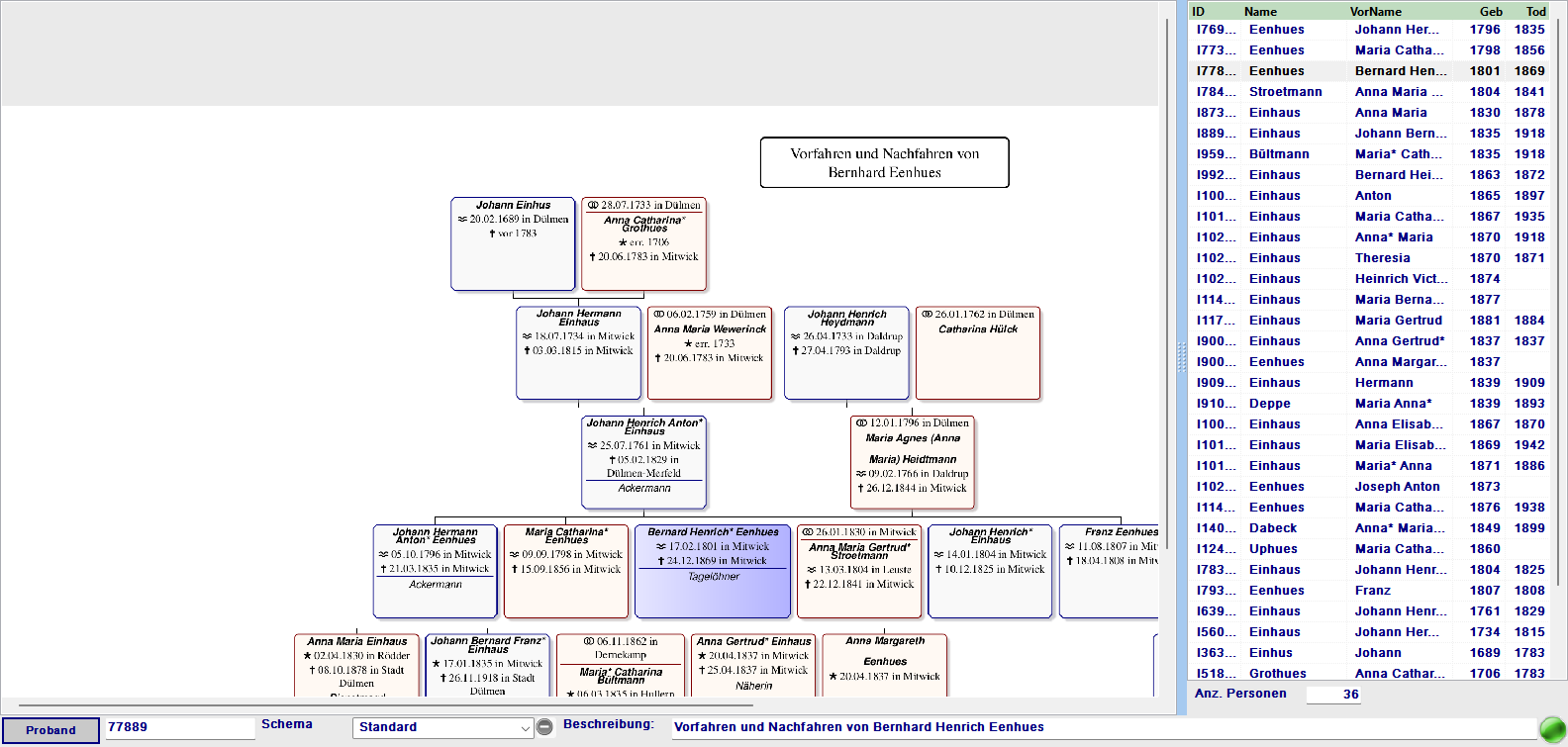 Sanduhrgrafik mit Proband in der Mitte, Vorfahren oben, Nachfahren unten